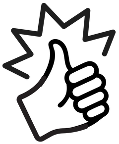 NIE ZWEIMAL DASSSELBEicon